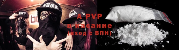 шишки Туринск
