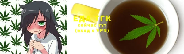 шишки Туринск
