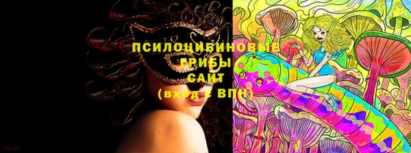 спайс Бородино