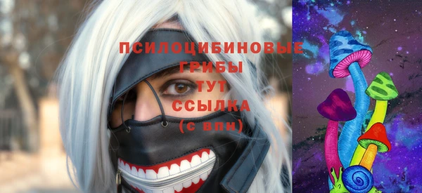 спайс Бородино