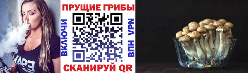 Галлюциногенные грибы мицелий  дарнет шоп  omg зеркало  Гуково 