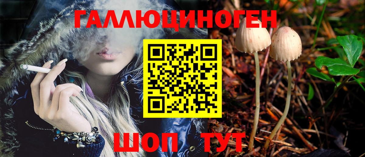 Псилоцибиновые грибы Psilocybe Гуково
