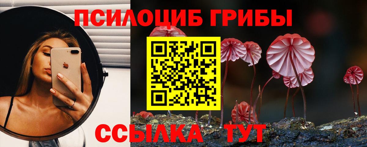Псилоцибиновые грибы Magic Shrooms  Гуково 