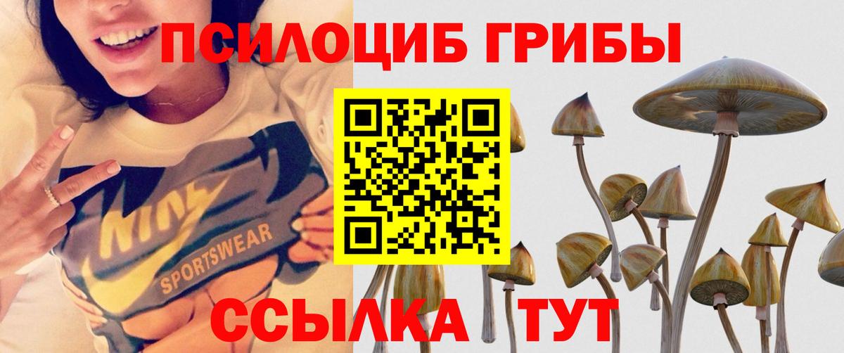 Галлюциногенные грибы Psilocybine cubensis Гуково